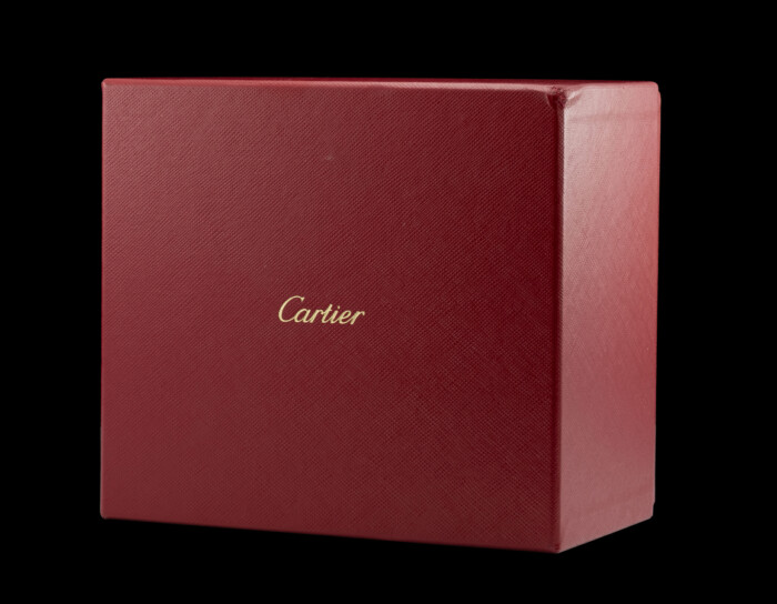 CARTIER SANTOS DE CARTIER WSSA0039 FULL SET COME NUOVO - immagine 6