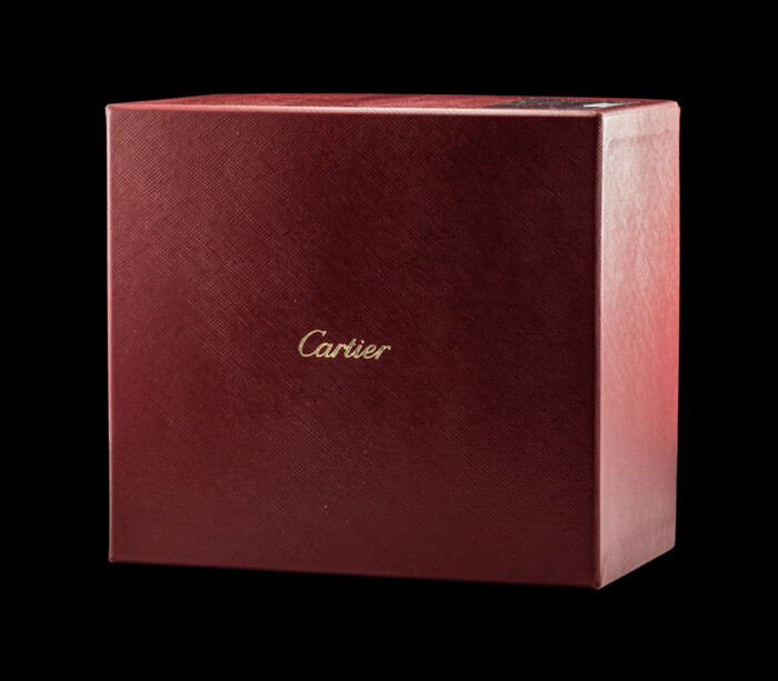 CARTIER SANTOS DE CARTIER FULL SET NUOVO 2025 WSSA0018 - immagine 8